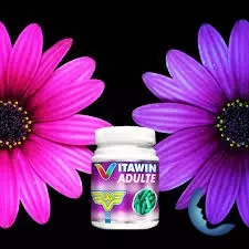 Vitawin Adulte 30 Gélules