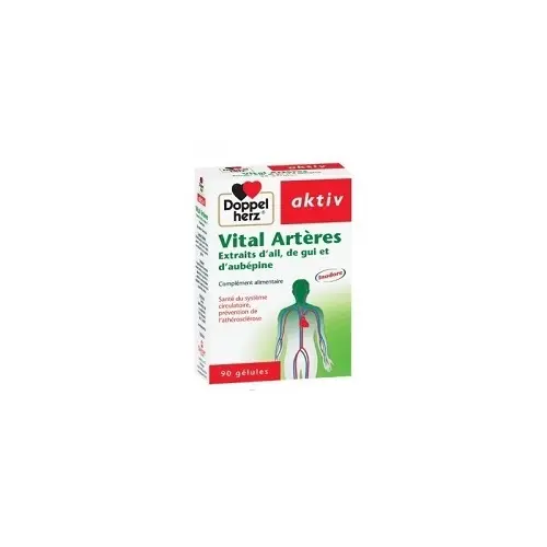 Aktiv Vital Arteres, 90 Gélules