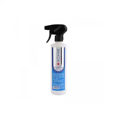 Désodorisant Désinfectant - Roxyne Antiseptique - 500ml