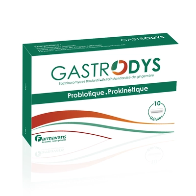 Farmavans Gastrodys - 10 Gelules
