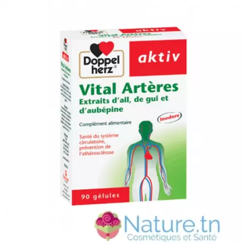 AKTIV Vital Artères 90 GELULES